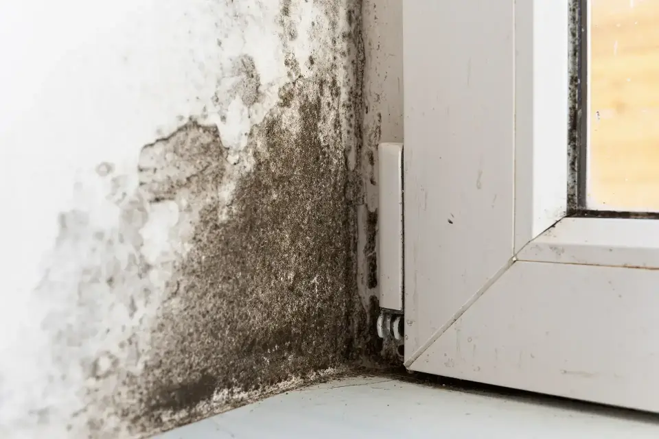 Restoring Properties and Peace of Mind — Englewood, CO