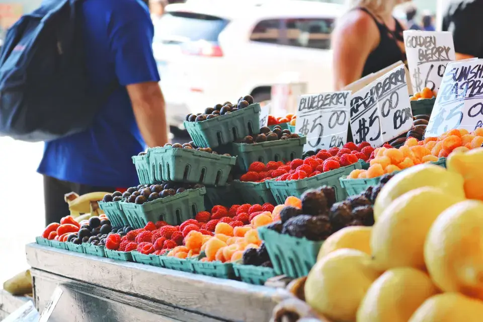 Local Attractions in Cherry Creek in Cherry Creek